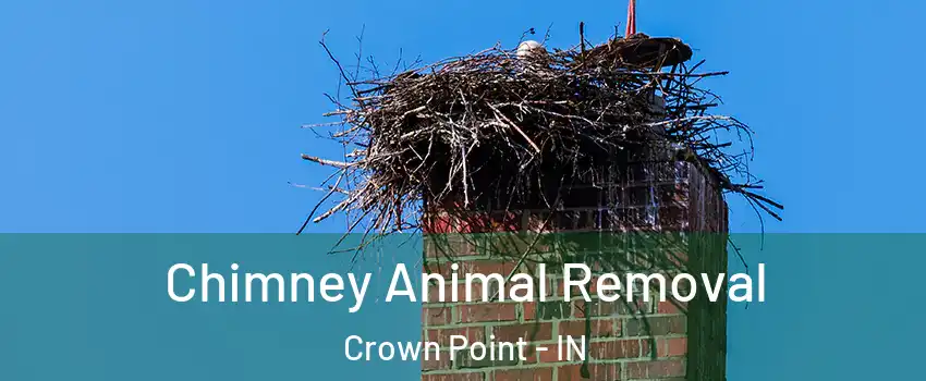  Chimney Animal Removal Crown Point - IN