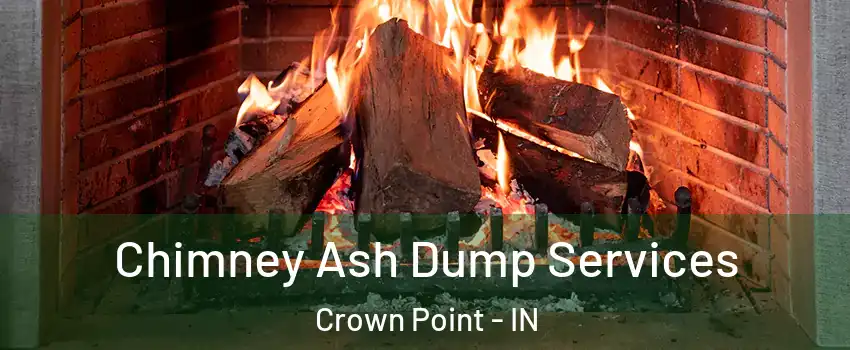  Chimney Ash Dump Services Crown Point - IN