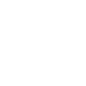 Professional Chimney Flue Installation in Crown Point, Indiana