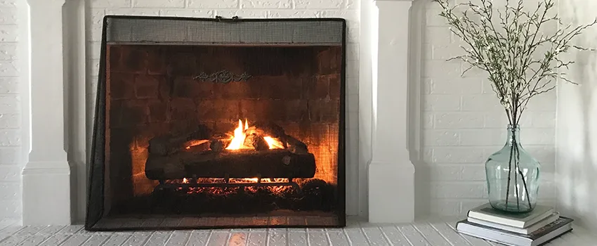 Cost-Effective Fireplace Mantel Inspection And Maintenance in Crown Point, IN