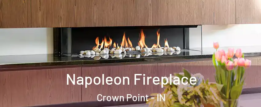  Napoleon Fireplace Crown Point - IN